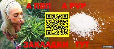 индика Заволжье
