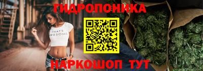 индика Заволжье